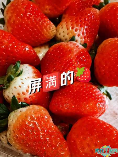 草莓视频深夜释放自己无限看下载_草莓视频深夜释放
