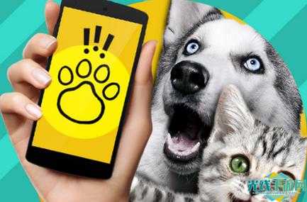 pettranslator软件中文版下载-pettranslator软件_pet designer软件下载