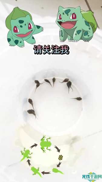 小蝌蚪视频在线观看免费播放_小蝌蚪视频app下载大全小蝌蚪免费观看官网版免费下载