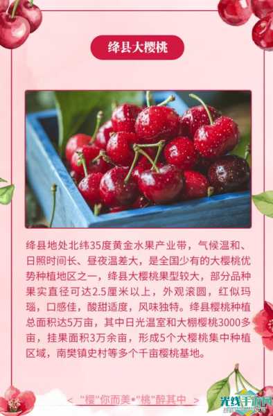 樱桃视频在线观看免费视频高清_樱桃视频免费版在线观看高清版最新版