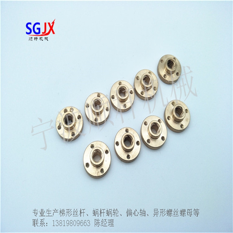 武（wǔ）漢消隙螺母 法蘭銅螺母  彈簧螺母